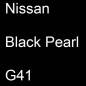 Preview: Nissan, Black Pearl, G41.